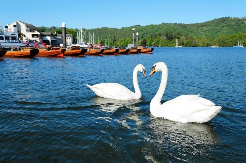 1 West End Boutique Apartment Bowness-on-Windermere Eksteriør billede